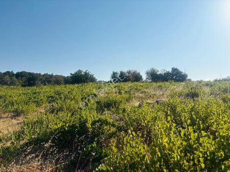 Çanakkale'de Kazdağlarında Yatırımlık Bağ