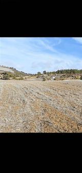 Mersin Mut'ta Satılık 2550 M Tarla