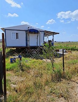 Foça Gerenköyde 389 Mk Bshçe Acil Satılık