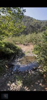 Bf Grouptan Yeğendere Mah Dere Kenarında Satılık Fındık Bahçesi