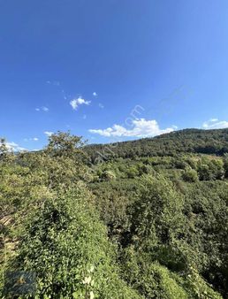 Bf Grouptan Yeğendere Mah.dere Kenarı Satılık 1630 M2 Arsa