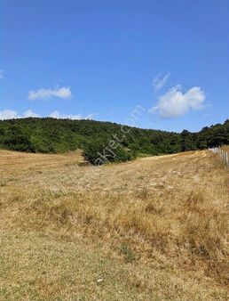 Derince Tahtalı 106/15/3268 M2