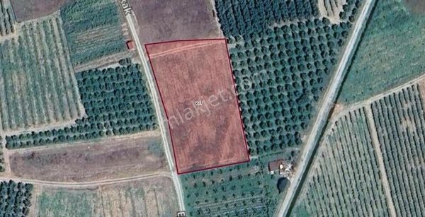 Sakarya Pamukova Yola Cephe Köye Yakın Arazi