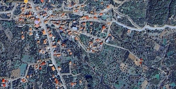 Aydın Kuyucak Kayran Köy İçi Yola Cepheli Arsa (takasa Açık)