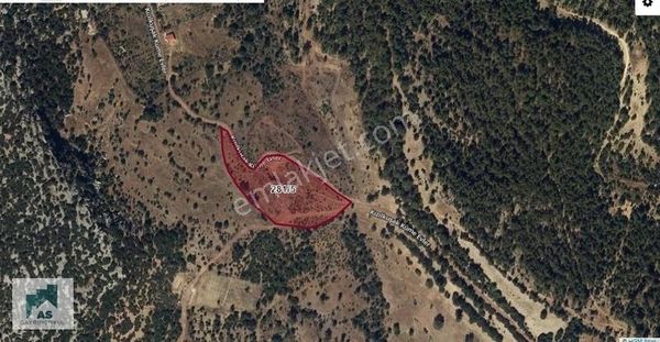 Sütçüler Belen De Satılık 11 400 Metrekare Tarla