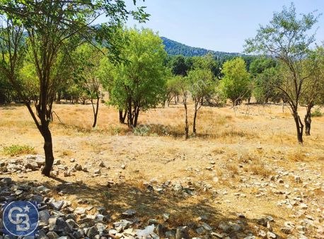 Akseki Dikmen'de Köy İçinde Satılık Tarla