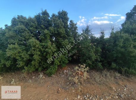 Süleyman Demirel Havalimanı Yanı Manzaralı 2300 M2 Tarla