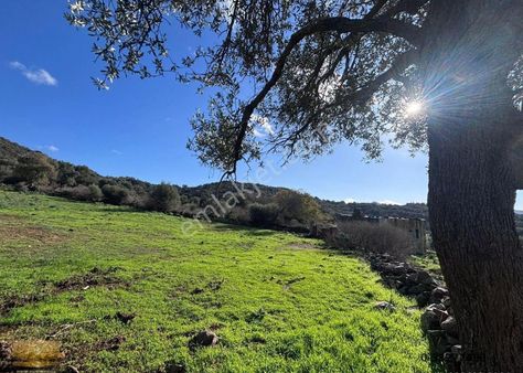 Merkezi Yerde Satılık Yatırımlık Arazi Anayola Yakın İşyeri Olur Anayola Yakın Uygun Fiyatlı Tarla