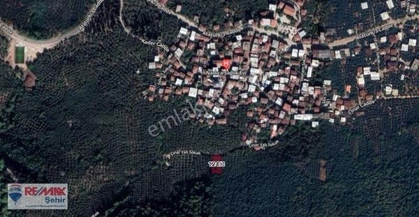 Bursa Orhangazi Narlıca Köyü Panoramik Göl Manzaralı Zeytinlik