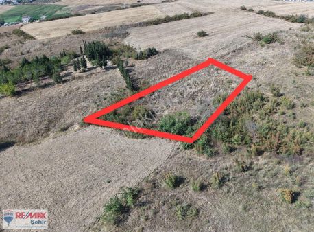 Yalova Merkez Kazımiye Köyünde Satılık Tarla