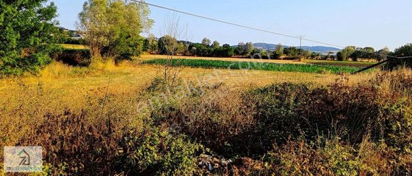 Osb Ye Komşu,ana Cadde Cepeli 1515m2 Köşe Parsel Tarla.