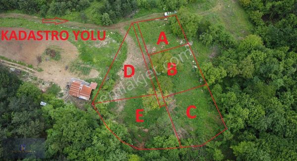 Royal Office | Kestel Orhaniye Cemiyette 400m2 Hobi Bahçesi