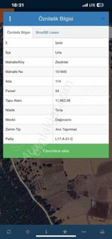 Urla Zeytinler Satılık Tarla 11862 M2