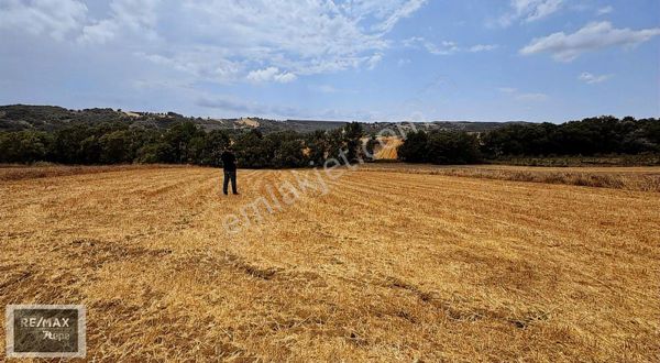 Serkan Uzar - Sevindikli / Naip - Popüler Yatırım Bölgesi
