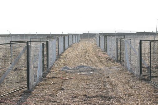 Çözüm Emlak’tan Akyurt Teberik Mahallesin’de 400m2 Satılık Hobi Bahçesi