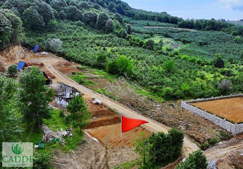 Akyazı Bıçkıdere Mahallesinde Yapı Projeli 600 M2 Mükemmel Arsa