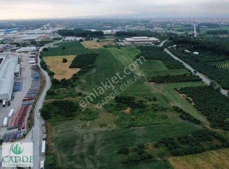 Sakarya Akyazı Da Gerçek Değerinde Sanayi İmarlı 3800 M2 Arsa