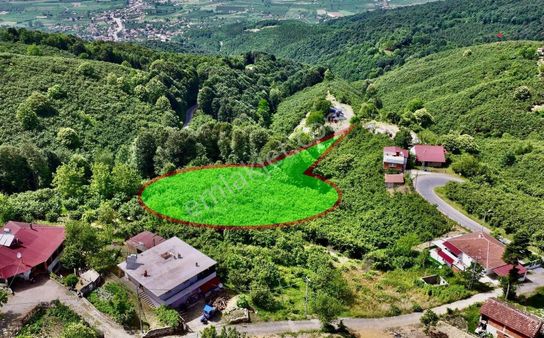 Akyazı Yeniköy De Yerleşik Alan İçerisinde %5 İmarlı Fındıklık