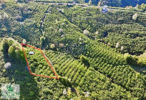 Cadde Emlaktan Karapürçek Ahmediye Yerleşim Bitişiğinde Yatırıml