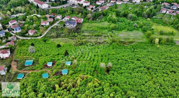 Cadde Emlaktan Akyazı Kuzuluk Kaplıcalar Bitişiğinde Yatırımlık