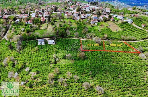 Cadde Emlaktan Karapürçek Ahmediye De 870 M2 İmarlı Arsa