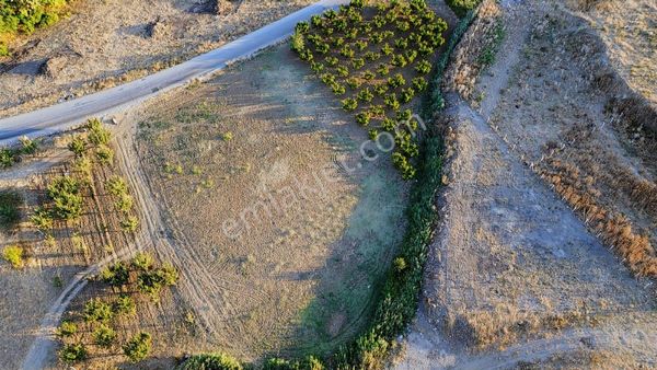 Fırsat!bursa Osmangazi Dereçavuş'ta Yatırımlık Tarla İmara Yakı