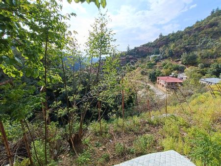 Alanya Çamlıca Dere Mahallesinde Satılık Tarla/arsa