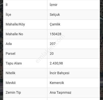 Satılık Tarla – Aydın Yolu Üzeri, Çamlık Köyü Yakını