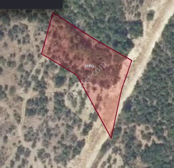 Koyuneli Mahallesinde 3187 M2 Tarla