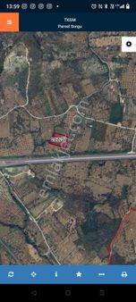 Satılık Tarla – Aydın Yolu Üzeri, Çamlık Köyü Yakını