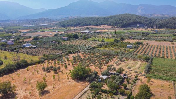 Kemalpaşa Yukarı Kızılca Merkez'de Satılık Bağ