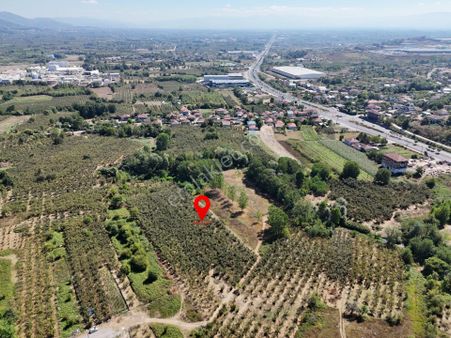 | Epa Uğur Düzce | Gümüşova Selamlar Satılık Yol Cepheli Parsel