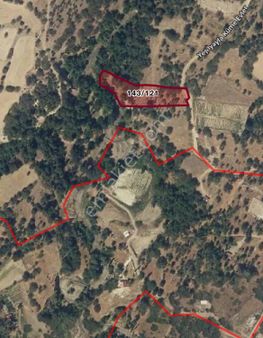 Denizli Yeşilyayla 3332m2 Satılık Bağ Bahçe Alanı