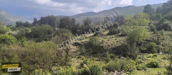 Kuzca' Da Yolu Elektriği Ve Suyu Olan 5379 M² Tek Tapu Tarla