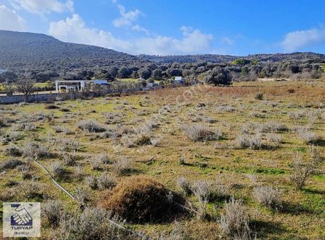 Alaçatı Merkeze 3 Dakika Mesafede Ticari Ve Konuta Uygun