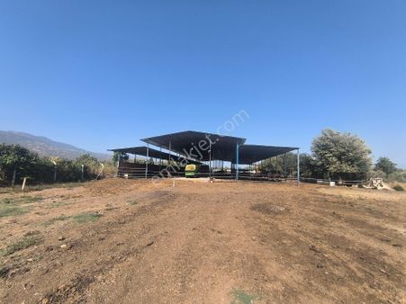 Aydın-denizli Yoluna 750 M Mesafede Satılık Çiftlik