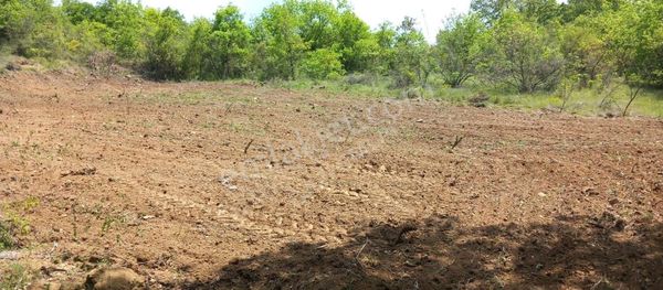 ""gazi Emlak""fevziye'de 1.776 M2 Bağ Hesaplı