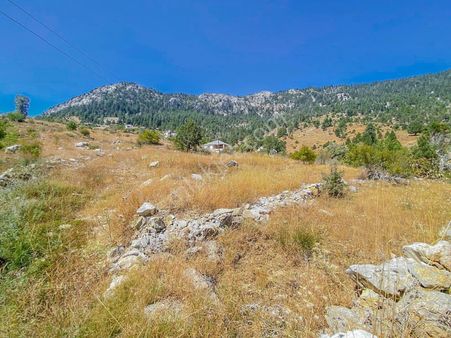 Alanya Kaplanhanı Yaylasında Satılık 2.224 M2 Tek Tapu Tarla