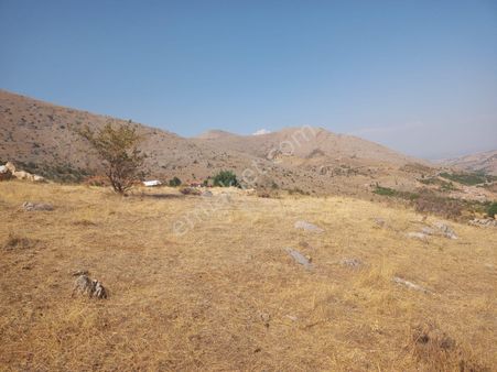 Yeşilyurt Kozlukta Satılık 6,5 Dönüm Tarla