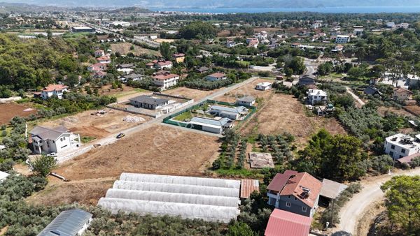 Goldhouse Dan Satılık Tarla Yanıklar Da Rızai Taksim Yapılmış Fırsat