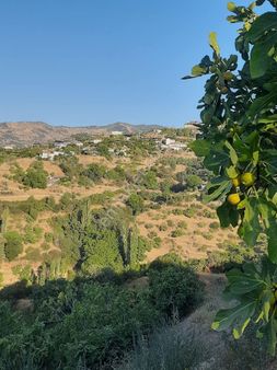 Dogru Gayrimenkulden Yaylapınar Da 2500 Metrekare İncirlik