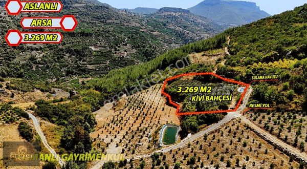 Erdemli Aslanlı 3270 M2 Satılık Kivi Bahçesi Yüksek Kar Marjı