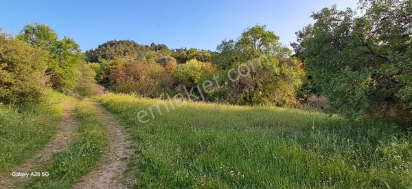 Emlak/tur’dan Manisa Turgutlu Yayla Mahallesi