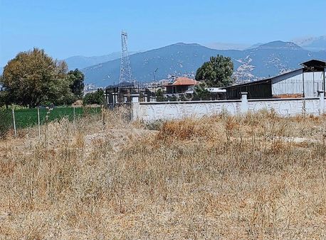 Yayla Seki Mah. Ceylan( Ana Yola Çok Yakın ) Satılık Tarla