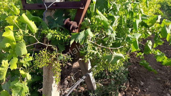 Emlak/tur'dan Manisa Turgutlu Sinirli Mahallesi