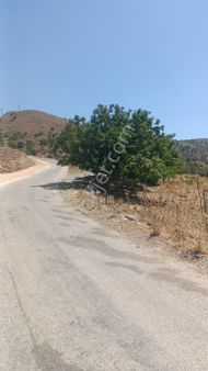 Tire Satılık Bahçe Yatırım Fırsatı Yol Kenarı 10.000 M2