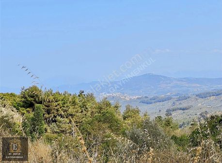 Mudanya Çepni Mahallesinde Yatırımlık Arazi