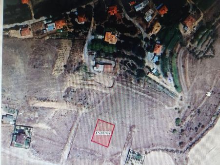 Tried- Sarımsaklı Da 924 M2 Parsel