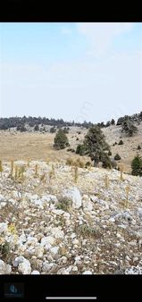 And'den Mersin Toroslar Arslanköy Katrankuyusu Cvr 149 Bin M2