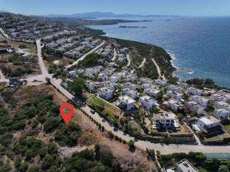Bodrum Milas Boğaziçi'nde Denize 150 Metre Mesafede Zeytinlik